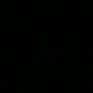 Meet your Posher, Mei-sean