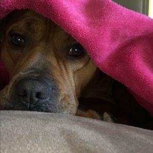 Meet your Posher, Daniella