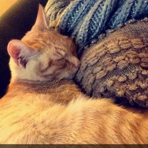 Meet your Posher, Merav