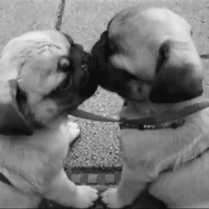 Meet your Posher, Monique