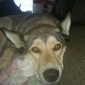 Meet your Posher, Sue