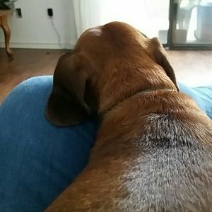 Meet your Posher, Kendall