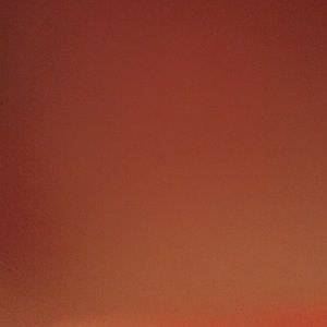 Meet your Posher, Rose