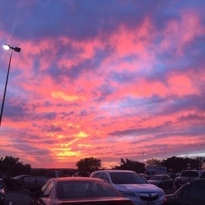 Meet your Posher, Annie