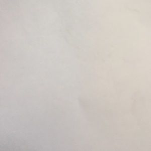 Meet your Posher, Ann