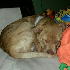 Meet your Posher, Jaci