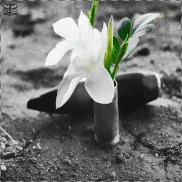 Meet your Posher, Noura