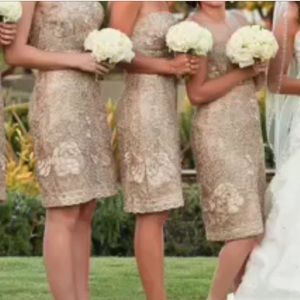 Sue Wong Gold  Cocktail  Dress.