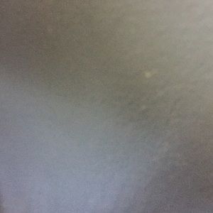 Meet your Posher, Bree