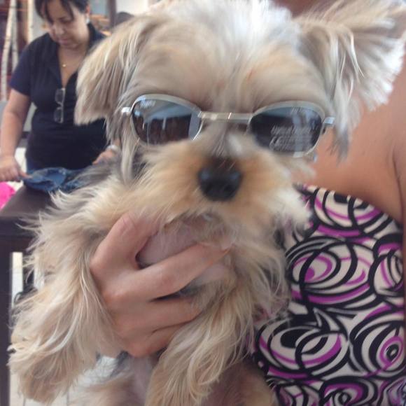 Meet your Posher, Claudia