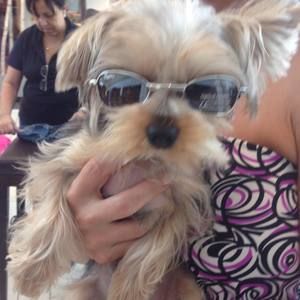 Meet your Posher, Claudia