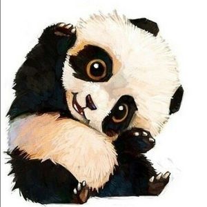 Meet your Posher, Gracie