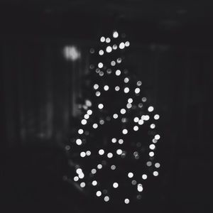 Meet your Posher, Maddy