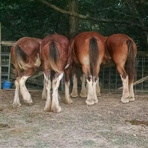 Meet your Posher, Catherine