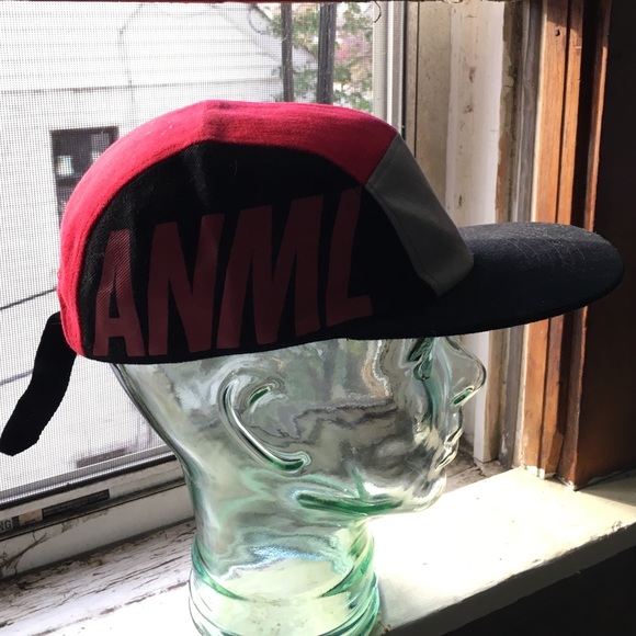 ANML HOUSE 5-panel snap back