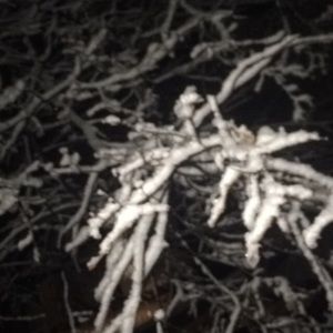 Meet your Posher, Staci