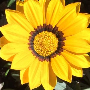 Meet your Posher, Adrienne