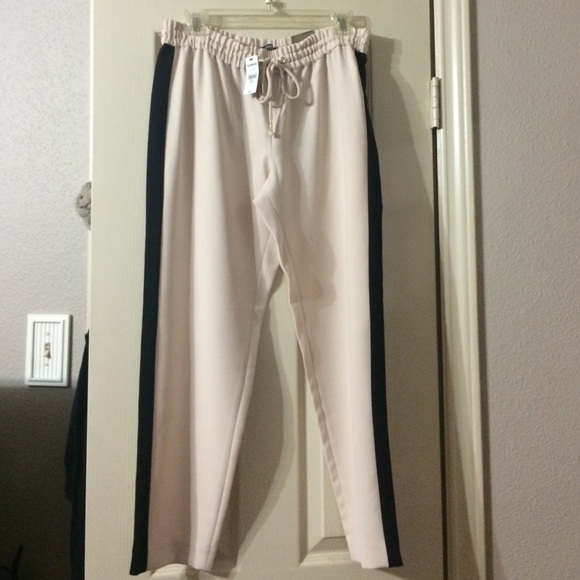 Express dressy pants
