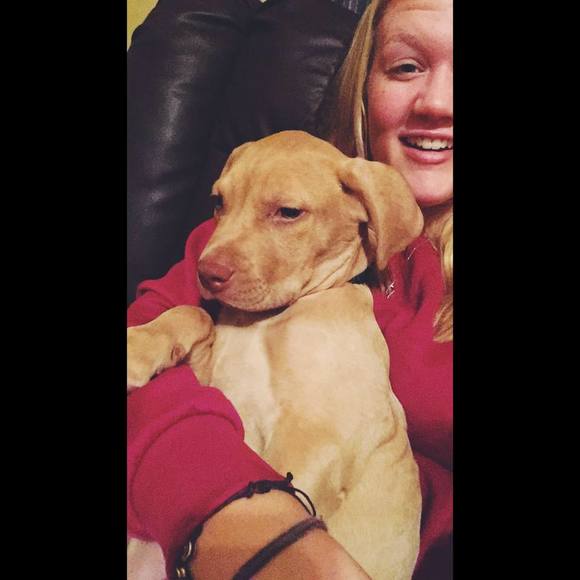 Meet your Posher, Paige