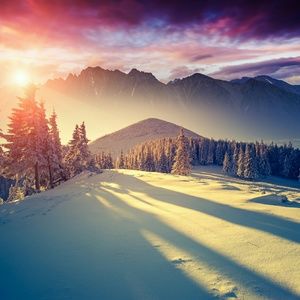 Meet your Posher, Mercedes