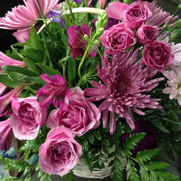 Meet your Posher, Ashlee - Picture 1 of 1