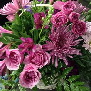 Meet your Posher, Ashlee