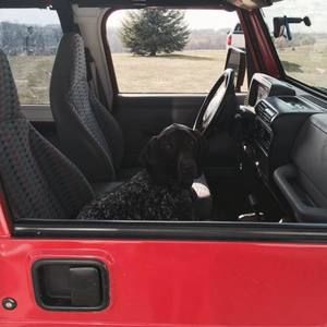 Meet your Posher, Sara