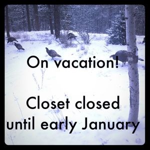 Closet closed until January! Happy holidays ❄️❄️☃⛷