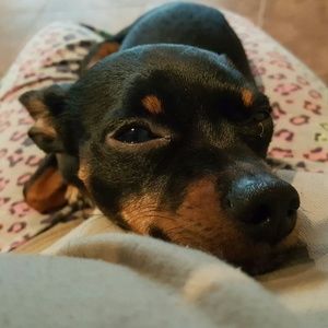 Meet your Posher, Yolanda