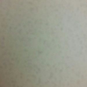 Meet your Posher, Jacoya