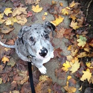 Meet your Posher, Jenn