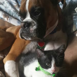 Meet your Posher, Crystal