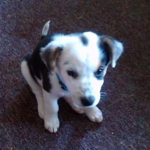 Meet your Posher, Cherie