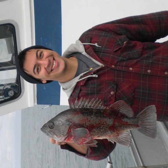 Meet your Posher, Andrew - Picture 1 of 1