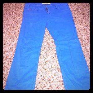 Hollister pants