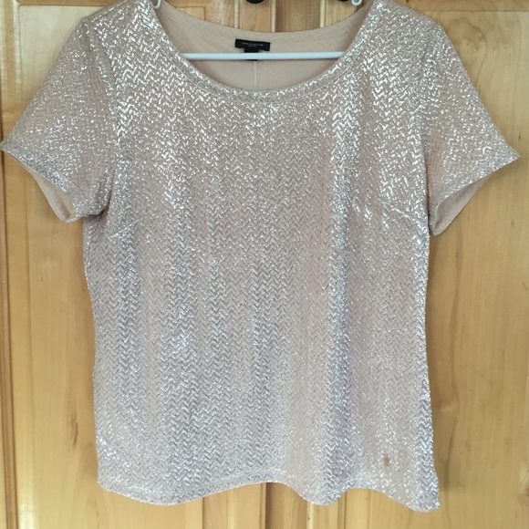 Ann Taylor Shimmery top