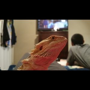 Meet your Posher, Gabriela