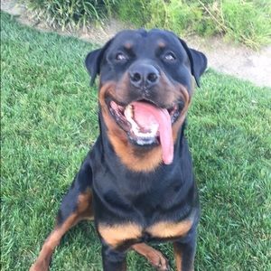 Meet your Posher, Dallas