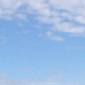 Meet your Posher, Shawna