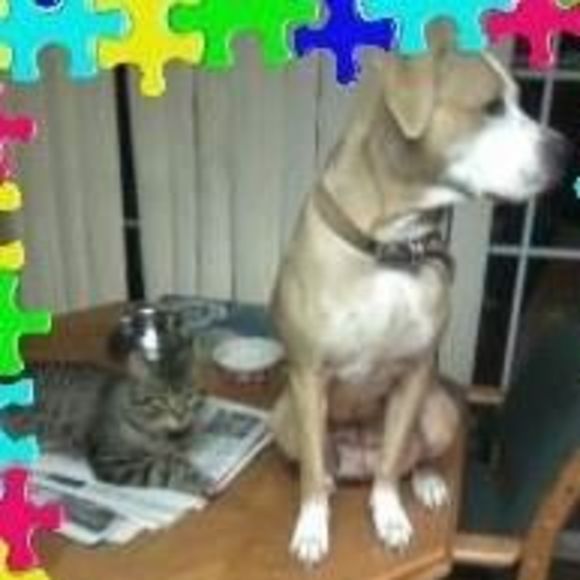 Meet your Posher, Tammy - Picture 1 of 1