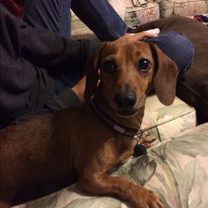 Meet your Posher, Mario