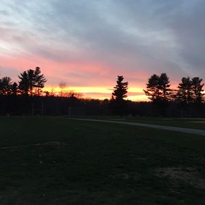 Meet your Posher, Rose