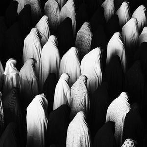 Meet your Posher, Jamila