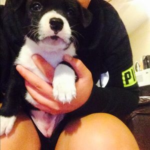 Meet your Posher, Jazmin