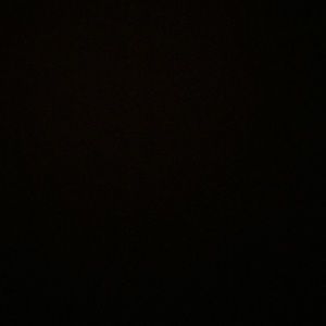 Meet your Posher, Carli