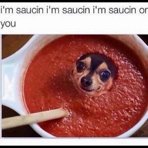 Meet your Posher, Marisa