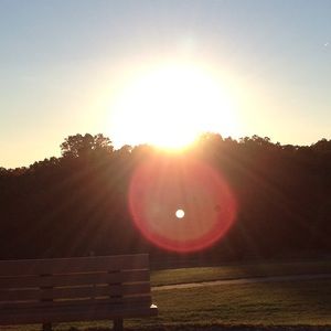 Meet your Posher, Marley