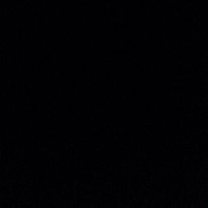 Meet your Posher, Darius