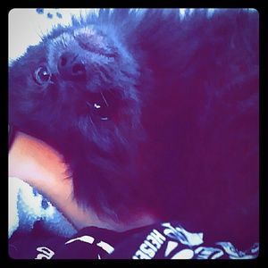 Meet your Posher, Ashley