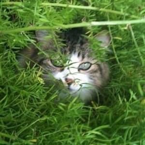 Meet your Posher, Trishe